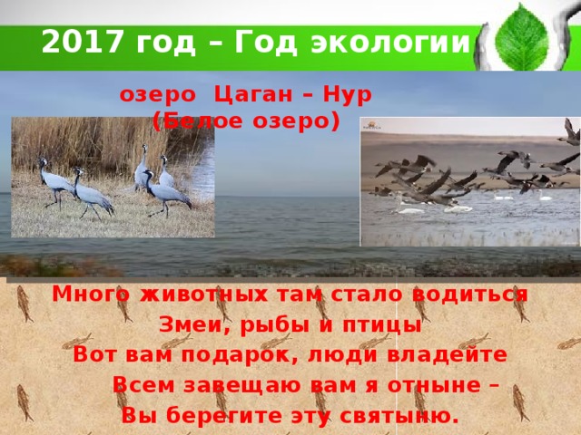 2017 год – Год экологии озеро Цаган – Нур (Белое озеро) Много животных там стало водиться Змеи, рыбы и птицы Вот вам подарок, люди владейте  Всем завещаю вам я отныне – Вы берегите эту святыню.  