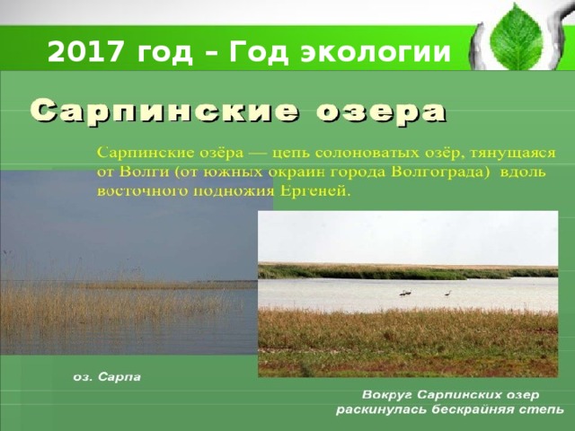 2017 год – Год экологии 