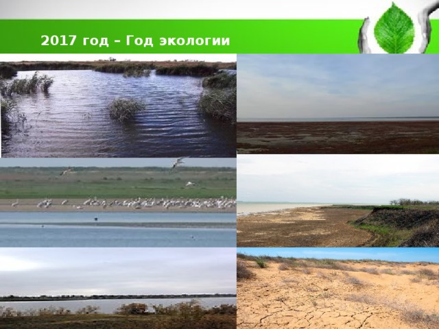    2017 год – Год экологии    