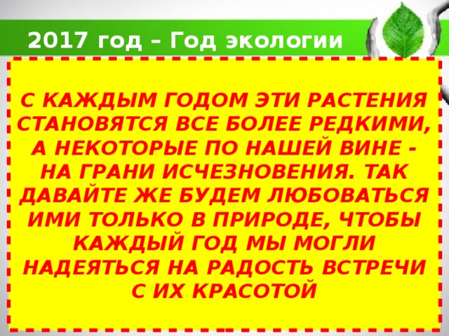 2017 год – Год экологии С КАЖДЫМ ГОДОМ ЭТИ РАСТЕНИЯ СТАНОВЯТСЯ ВСЕ БОЛЕЕ РЕДКИМИ, А НЕКОТОРЫЕ ПО НАШЕЙ ВИНЕ - НА ГРАНИ ИСЧЕЗНОВЕНИЯ. ТАК ДАВАЙТЕ ЖЕ БУДЕМ ЛЮБОВАТЬСЯ ИМИ ТОЛЬКО В ПРИРОДЕ, ЧТОБЫ КАЖДЫЙ ГОД МЫ МОГЛИ НАДЕЯТЬСЯ НА РАДОСТЬ ВСТРЕЧИ С ИХ КРАСОТОЙ 
