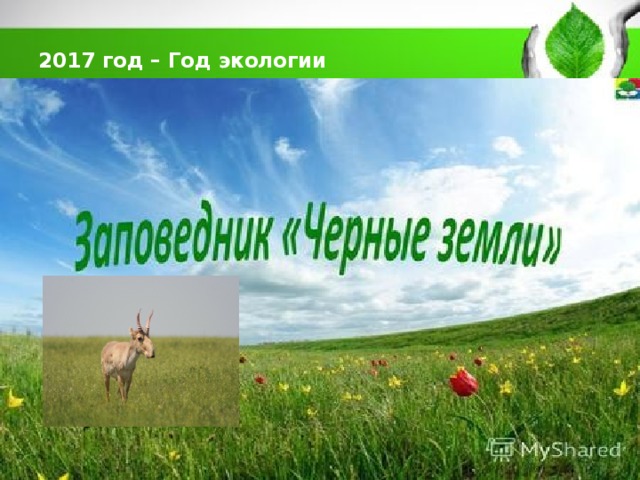 2017 год – Год экологии   