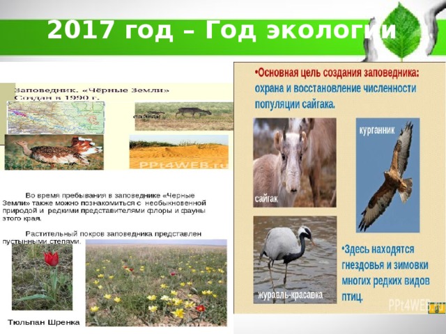 2017 год – Год экологии   