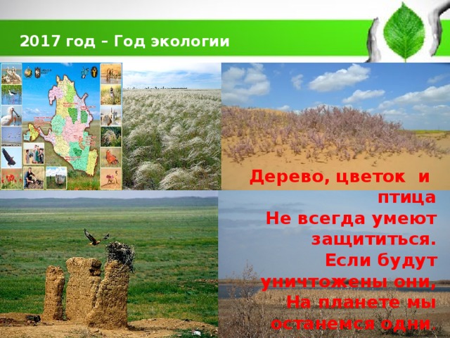  2017 год – Год экологии       Дерево, цветок и птица  Не всегда умеют защититься. Если будут уничтожены они, На планете мы останемся одни . 