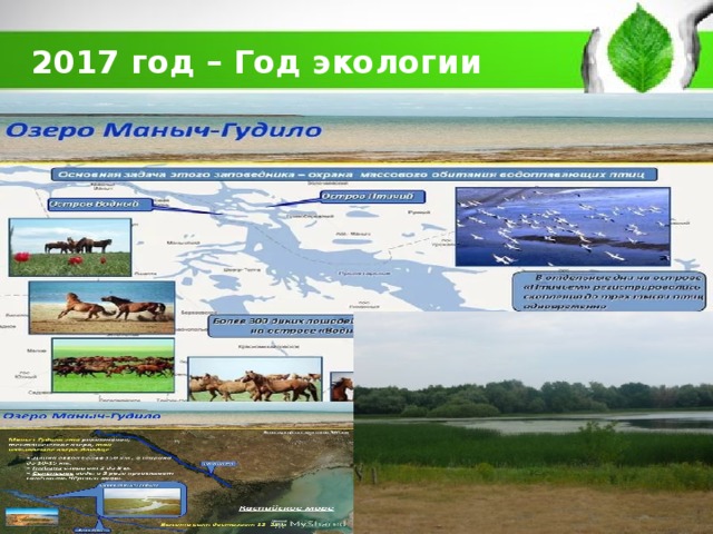2017 год – Год экологии   