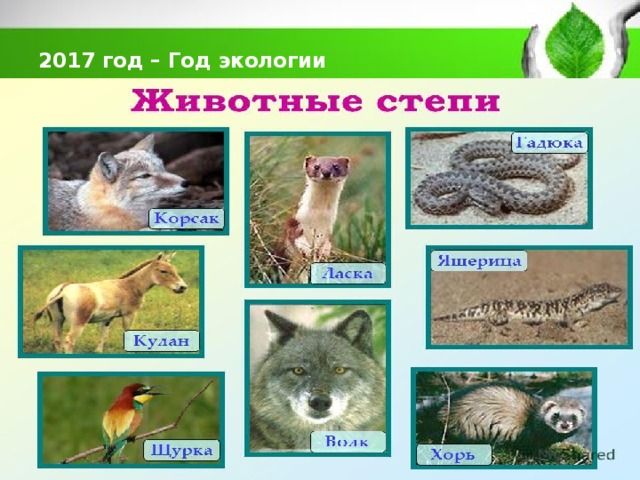  2017 год – Год экологии   
