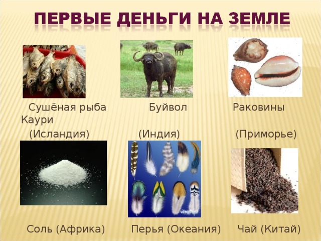  Сушёная рыба Буйвол Раковины Каури  (Исландия) (Индия) (Приморье)  Соль (Африка) Перья (Океания) Чай (Китай) 