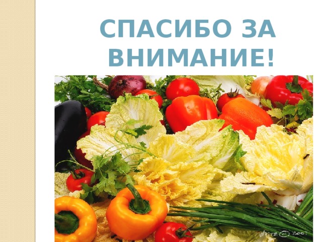 СПАСИБО ЗА  ВНИМАНИЕ!