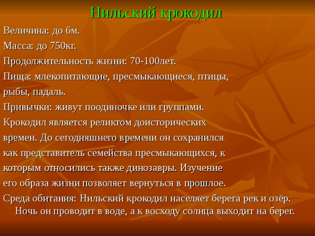  Нильский крокодил Величина: до 6м. Масса: до 750кг. Продолжительность жизни: 70-100лет. Пища: млекопитающие, пресмыкающиеся, птицы, рыбы, падаль. Привычки: живут поодиночке или группами. Крокодил является реликтом доисторических времен. До сегодняшнего времени он сохранился как представитель семейства пресмыкающихся, к которым относились также динозавры. Изучение его образа жизни позволяет вернуться в прошлое. Среда обитания: Нильский крокодил населяет берега рек и озёр. Ночь он проводит в воде, а к восходу солнца выходит на берег. 