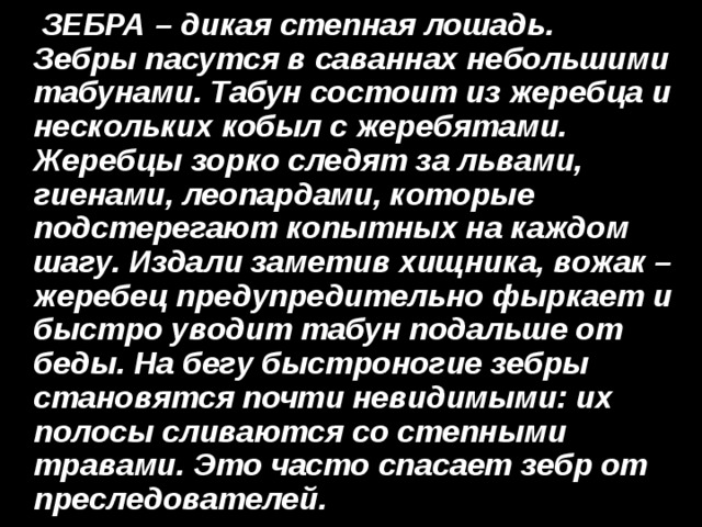  ЗЕБРА – дикая степная лошадь. Зебры пасутся в саваннах небольшими табунами. Табун состоит из жеребца и нескольких кобыл с жеребятами. Жеребцы зорко следят за львами, гиенами, леопардами, которые подстерегают копытных на каждом шагу. Издали заметив хищника, вожак – жеребец предупредительно фыркает и быстро уводит табун подальше от беды. На бегу быстроногие зебры становятся почти невидимыми: их полосы сливаются со степными травами. Это часто спасает зебр от преследователей. 