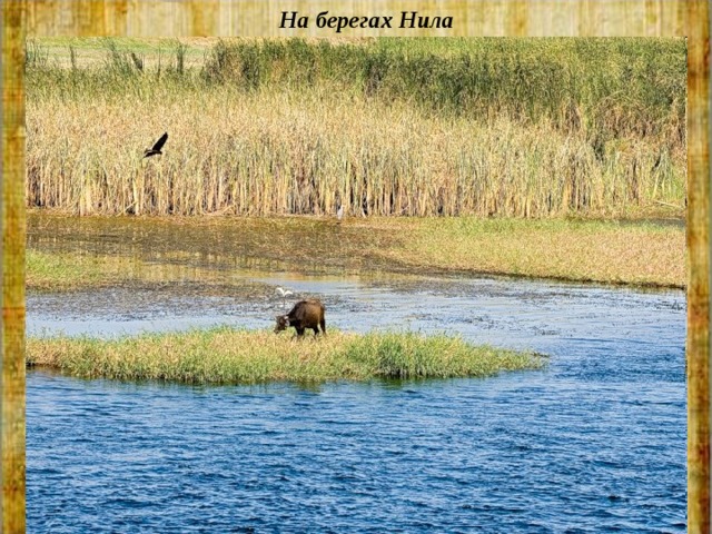 На берегах Нила 