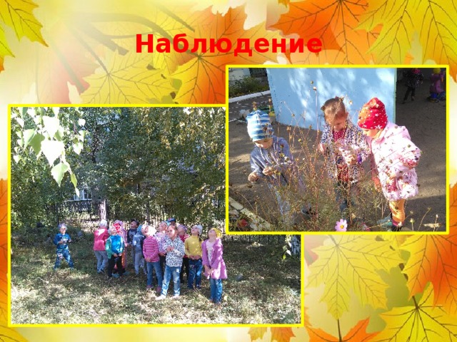 Наблюдение 