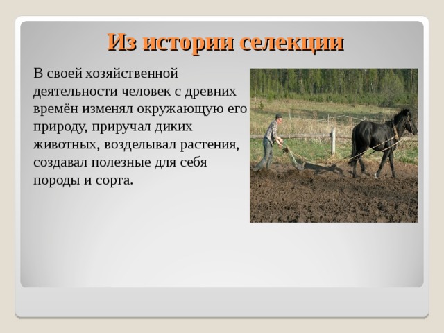 Из истории селекции В своей хозяйственной деятельности человек с древних времён изменял окружающую его природу, приручал диких животных, возделывал растения, создавал полезные для себя породы и сорта. 