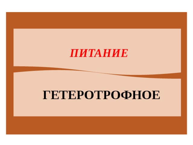  ПИТАНИЕ ГЕТЕРОТРОФНОЕ 