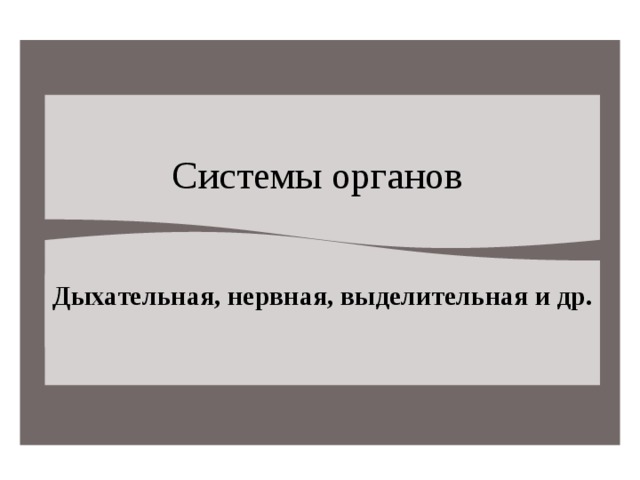 Системы органов Дыхательная, нервная, выделительная и др.  