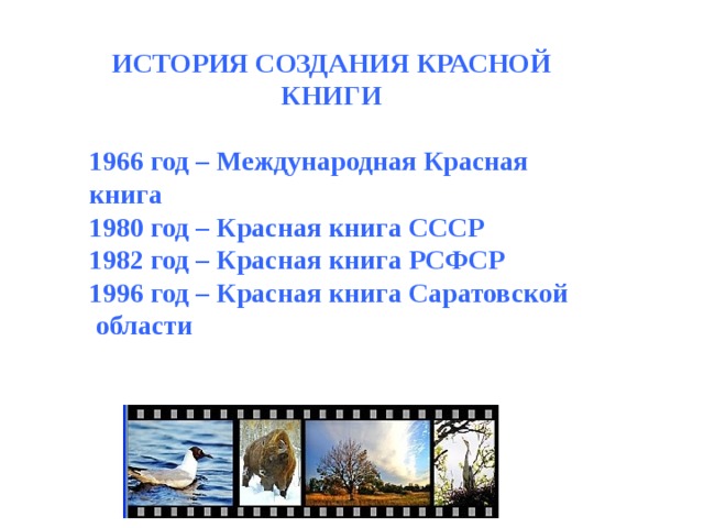 ИСТОРИЯ СОЗДАНИЯ КРАСНОЙ КНИГИ  1966 год – Международная Красная книга 1980 год – Красная книга СССР 1982 год – Красная книга РСФСР 1996 год – Красная книга Саратовской области 