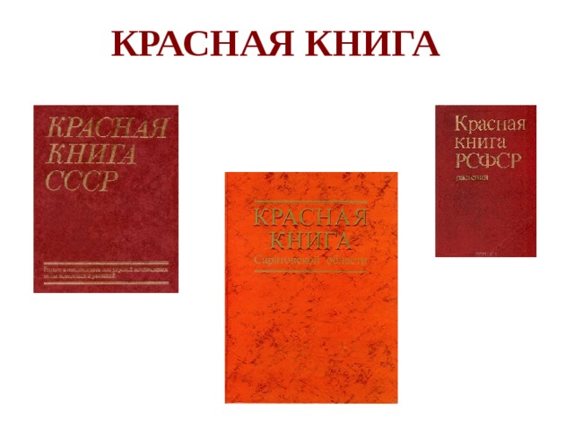 КРАСНАЯ КНИГА 
