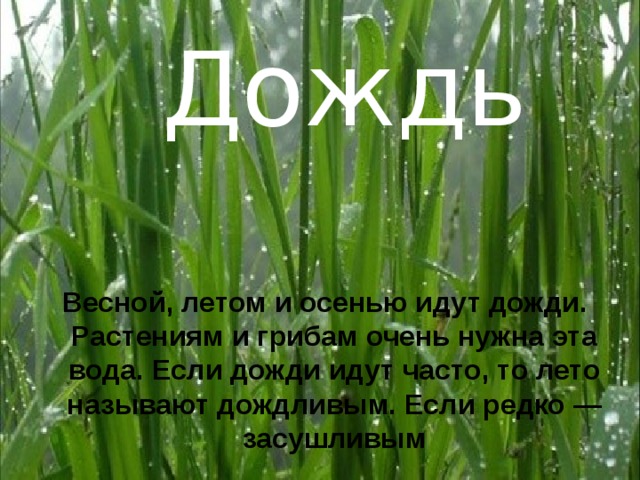 Дождь Весной, летом и осенью идут дожди. Растениям и грибам очень нужна эта вода. Если дожди идут часто, то лето называют дождливым. Если редко —засушливым 