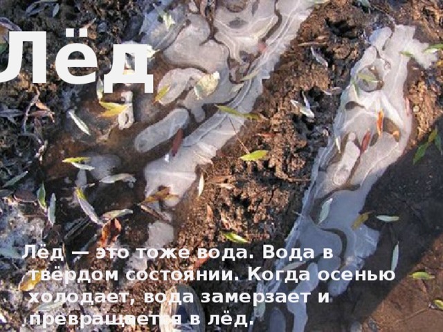 Лёд                     Лёд — это тоже вода. Вода в твёрдом состоянии. Когда осенью холодает, вода замерзает и превращается в лёд. 