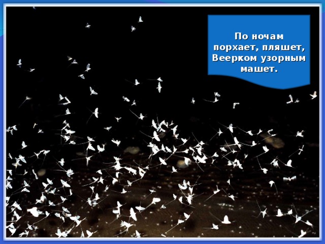  По ночам порхает, пляшет,  Веерком узорным машет.    