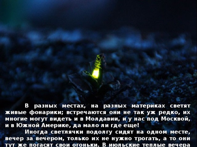  В разных местах, на разных материках светят живые фонарики; встречаются они не так уж редко, их многие могут видеть и в Молдавии, и у нас под Москвой, и в Южной Америке, да мало ли где еще!  Иногда светлячки подолгу сидят на одном месте, вечер за вечером, только их не нужно трогать, а то они тут же погасят свои огоньки. В июльские теплые вечера они светятся в траве на обочинах дорог, в кустах...  