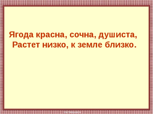 Ягода красна, сочна, душиста,  Растет низко, к земле близко. 