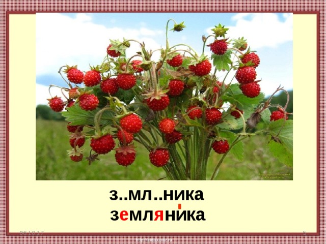 з..мл..ника з е мл я ника 06.10.17  