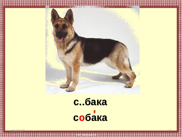 с..бака с о бака 06.10.17  