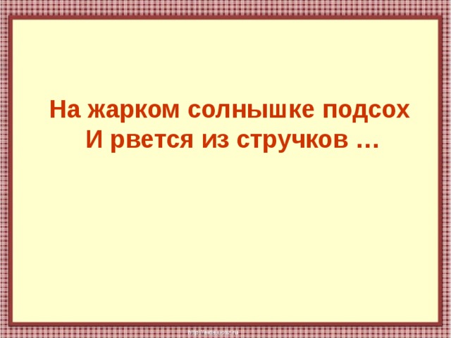 На жарком солнышке подсох  И рвется из стручков … 