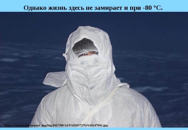 Однако жизнь здесь не замирает и при -80 °С. 