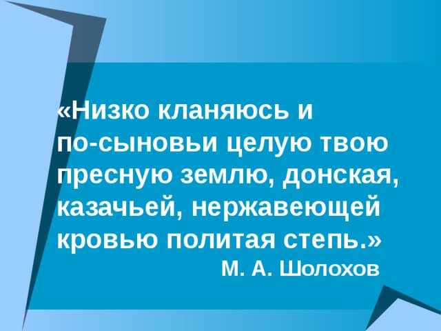 «Низко кланяюсь и по-сыновьи целую твою пресную землю, донская, казачьей, нержавеющей кровью политая степь.»   М. А. Шолохов   