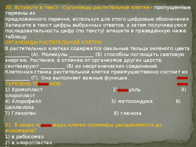 30. Вставьте в текст «Органоиды растительной клетки» пропущенные термины из предложенного перечня, используя для этого цифровые обозначения. Запишите в текст цифры выбранных ответов, а затем получившуюся последовательность цифр (по тексту) впишите в приведённую ниже таблицу. ОРГАНОИДЫ РАСТИТЕЛЬНОЙ КЛЕТКИ В растительных клетках содержатся овальные тельца зелёного цвета __________ (А). Молекулы __________ (Б) способны поглощать световую энергию. Растения, в отличие от организмов других царств, синтезируют __________ (В) из неорганических соединений. Клеточная стенка растительной клетки преимущественно состоит из __________ (Г). Она выполняет важные функции. ПЕРЕЧЕНЬ ТЕРМИНОВ: 1) Хромопласт 2) вакуоль 3) хлоропласт 4) Хлорофилл 5) митохондрия 6) Целлюлоза 7) Гликоген 8) глюкоза 31. В каких органоидах клетки полимеры расщепляются до мономеров? 1) в рибосомах 2) в хлоропластах 3) в митохондриях 4) в лизосомах 