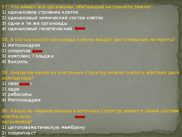 57. Что имеют все организмы, обитающие на планете Земля? 1) одинаковое строение клеток 2) одинаковый химический состав клеток 3) одни и те же органоиды 4) одинаковый генетический код 58. В состав какого органоида клетки входят растительные пигменты? 1) митохондрия 2) хлоропласт 3) комплекс Гольджи 4) Вакуоль 59. Аналогом какой из клеточных структур можно считать жёсткий диск компьютера? 1) лизосомы 2) ядра 3) рибосомы 4) Митохондрии 60. Какую из перечисленных клеточных структур имеют в своём составе клетки всех организмов? 1) цитоплазматическую мембрану 2) хлоропласт 3) митохондрию 4) ядро 