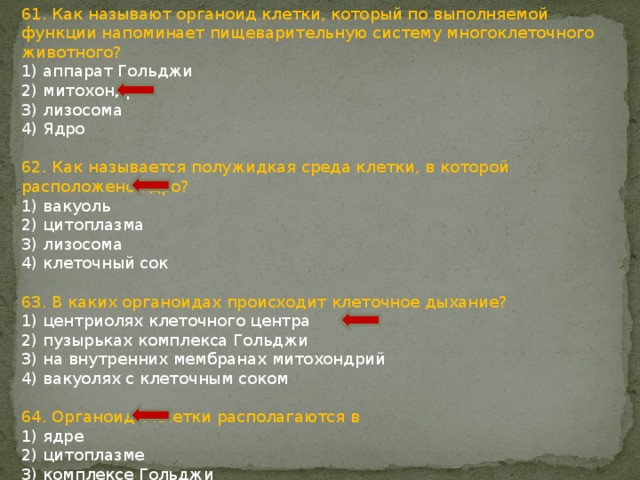61. Как называют органоид клетки, который по выполняемой функции напоминает пищеварительную систему многоклеточного животного? 1) аппарат Гольджи 2) митохондрия 3) лизосома 4) Ядро 62. Как называется полужидкая среда клетки, в которой расположено ядро? 1) вакуоль 2) цитоплазма 3) лизосома 4) клеточный сок 63. В каких органоидах происходит клеточное дыхание? 1) центриолях клеточного центра 2) пузырьках комплекса Гольджи 3) на внутренних мембранах митохондрий 4) вакуолях с клеточным соком 64. Органоиды клетки располагаются в 1) ядре 2) цитоплазме 3) комплексе Гольджи 4) эндоплазматической сети 