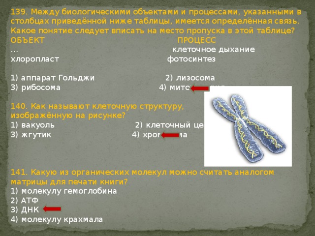 139. Между биологическими объектами и процессами, указанными в столбцах приведённой ниже таблицы, имеется определённая связь. Какое понятие следует вписать на место пропуска в этой таблице? ОБЪЕКТ ПРОЦЕСС … клеточное дыхание хлоропласт фотосинтез 1) аппарат Гольджи 2) лизосома 3) рибосома 4) митохондрия 140. Как называют клеточную структуру, изображённую на рисунке? 1) вакуоль 2) клеточный центр 3) жгутик 4) хромосома 141. Какую из органических молекул можно считать аналогом матрицы для печати книги? 1) молекулу гемоглобина 2) АТФ 3) ДНК 4) молекулу крахмала 