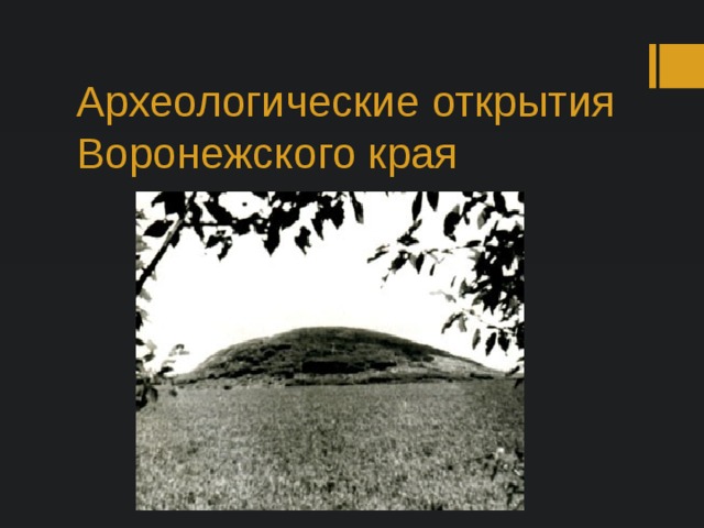 Археологические открытия Воронежского края 