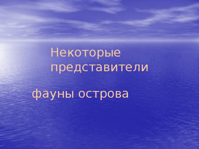 Некоторые представители фауны острова 