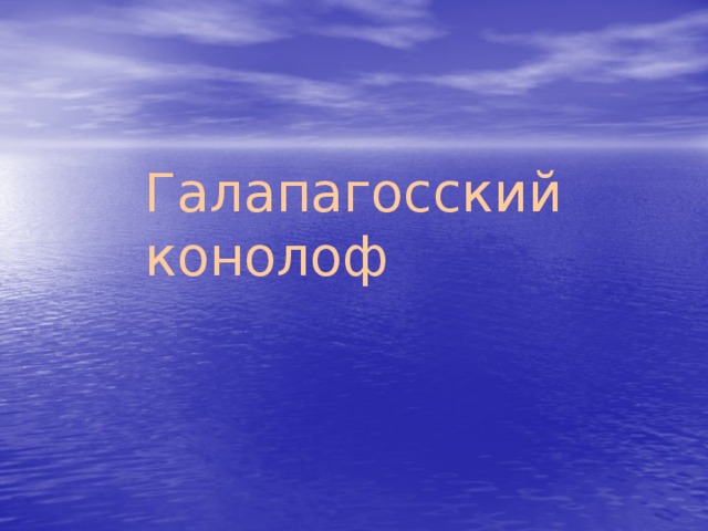 Галапагосский конолоф 