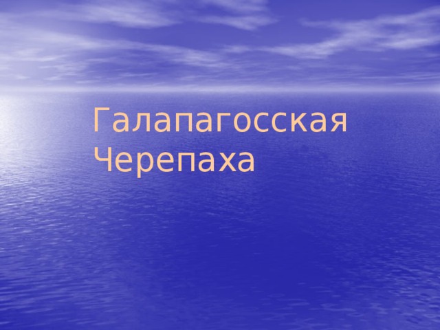 Галапагосская Черепаха 