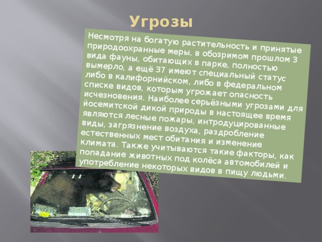 Несмотря на богатую растительность и принятые природоохранные меры, в обозримом прошлом 3 вида фауны, обитающих в парке, полностью вымерло, а ещё 37 имеют специальный статус либо в калифорнийском, либо в федеральном списке видов, которым угрожает опасность исчезновения. Наиболее серьёзными угрозами для йосемитской дикой природы в настоящее время являются лесные пожары, интродуцированные виды, загрязнение воздуха, раздробление естественных мест обитания и изменение климата. Также учитываются такие факторы, как попадание животных под колёса автомобилей и употребление некоторых видов в пищу людьми. Угрозы  Угрозы 