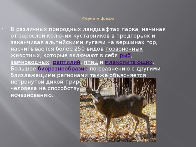   Фауна и флора    В различных природных ландшафтах парка, начиная от зарослей колючих кустарников в предгорьях и заканчивая альпийскими лугами на вершинах гор, насчитывается более 250 видов позвоночных животных, которые включают в себя рыб , земноводных , рептилий , птиц и млекопитающих . Большое биоразнообразие по сравнению с другими близлежащими регионами также объясняется нетронутой дикой природой, где деятельность человека не способствует их деградации и исчезновению. 