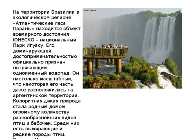 На территории Бразилии в экологическом регионе «Атлантические леса Параны» находится объект всемирного достояния ЮНЕСКО – национальный Парк Игуасу. Его доминирующей достопримечательностью официально признан потрясающий одноименный водопад. Он настолько масштабный, что некоторая его часть даже расположилась на аргентинской территории. Колоритная дикая природа стала родным домом огромному количеству разнообразнейших видов птиц и бабочек. Среди них есть вымирающие и редкие породы птиц. Поэтому Игуасу и находится под охраной ЮНЕСКО. 