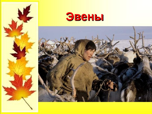 Эвены 