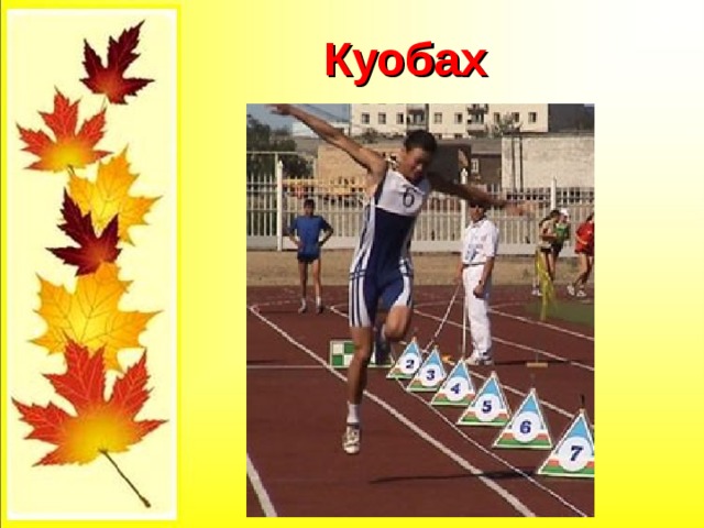 Куобах 