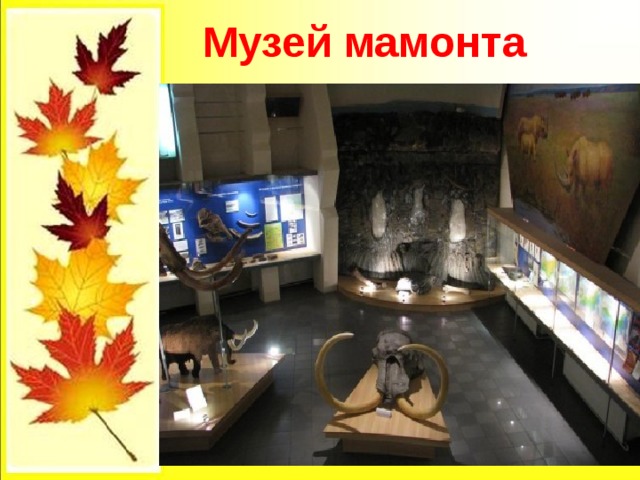  Музей мамонта 
