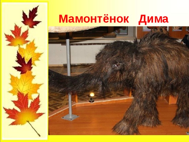  Мамонтёнок Дима 