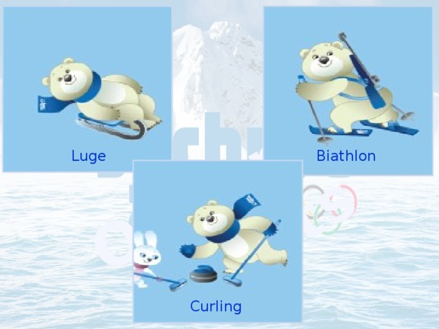 Olympic Sports Luge Biathlon Curling 