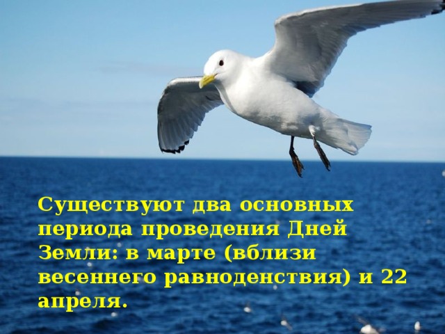 Существуют два основных периода проведения Дней Земли: в марте (вблизи весеннего равноденствия) и 22 апреля.  
