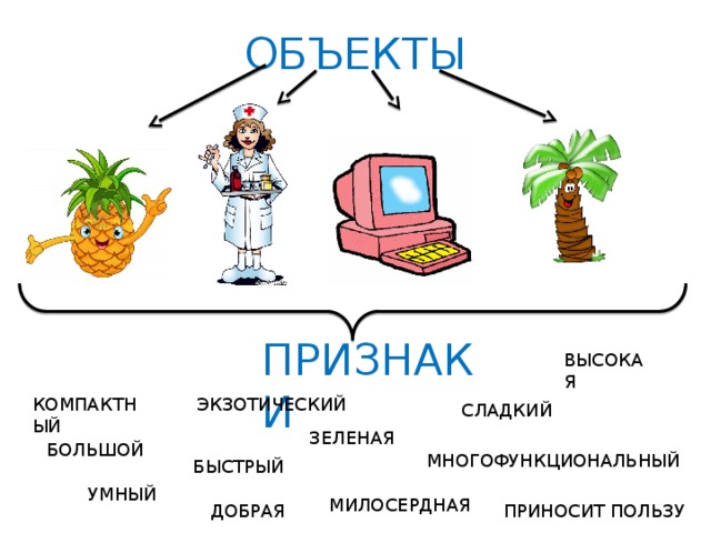 ОБЪЕКТЫ ПРИЗНАКИ ВЫСОКАЯ ЭКЗОТИЧЕСКИЙ КОМПАКТНЫЙ СЛАДКИЙ ЗЕЛЕНАЯ БОЛЬШОЙ МНОГОФУНКЦИОНАЛЬНЫЙ БЫСТРЫЙ УМНЫЙ МИЛОСЕРДНАЯ ПРИНОСИТ ПОЛЬЗУ ДОБРАЯ