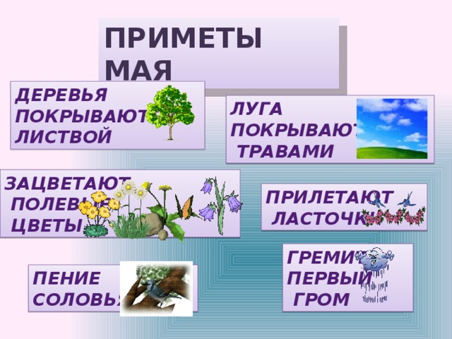 ПРИМЕТЫ МАЯ ДЕРЕВЬЯ ПОКРЫВАЮТСЯ ЛИСТВОЙ ЛУГА ПОКРЫВАЮТСЯ  ТРАВАМИ ЗАЦВЕТАЮТ  ПОЛЕВЫЕ  ЦВЕТЫ ПРИЛЕТАЮТ  ЛАСТОЧКИ ГРЕМИТ ПЕРВЫЙ  ГРОМ ПЕНИЕ СОЛОВЬЯ 
