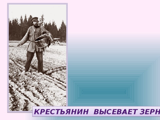 КРЕСТЬЯНИН ВЫСЕВАЕТ ЗЕРНО 